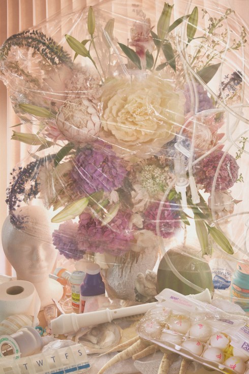 1Flower_DeathlessWinter