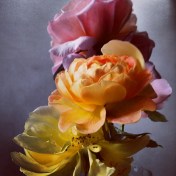 Unknown-3