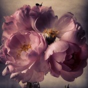 Unknown-4